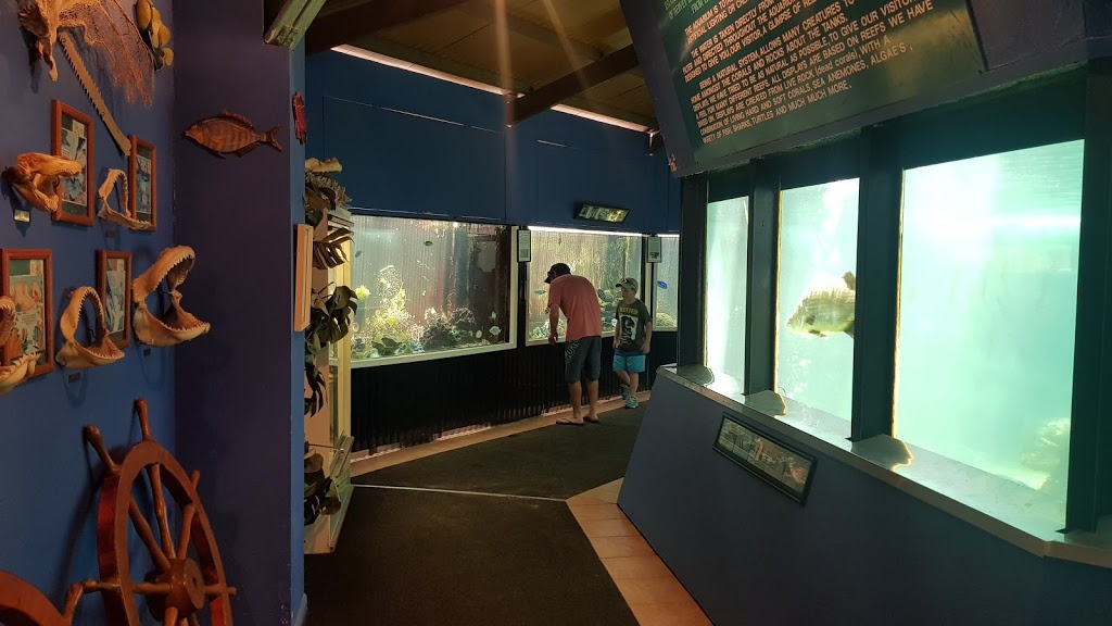 Reef World Aquarium | tourist attraction | Dayman Park Cnr Kent &, Pulgul St, Urangan QLD 4655, Australia | 0741289828 OR +61 7 4128 9828