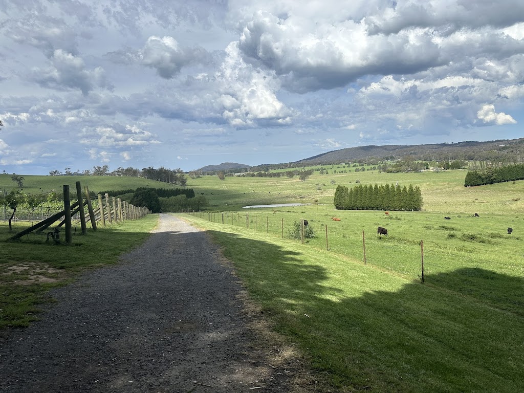 Sondara Estate | 352 Woodlands Rd, Woodlands NSW 2575, Australia | Phone: 0411 582 991