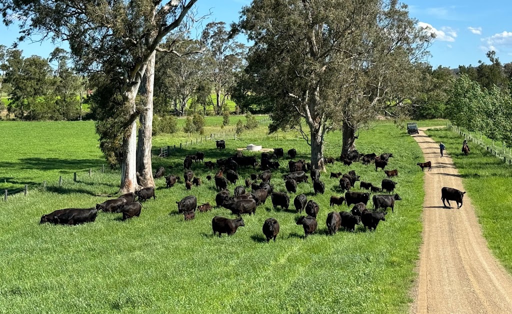 Tallawalla | 172 Hanleys Creek Rd, Tabbil Creek NSW 2420, Australia | Phone: 0419 545 670
