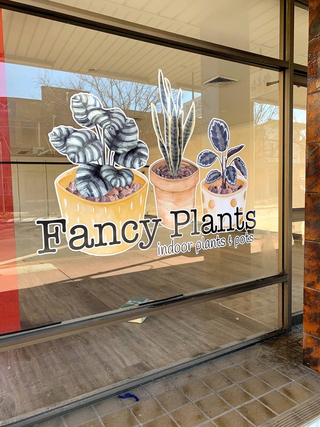 Fancy Plants | 491 High St, Maitland NSW 2320, Australia | Phone: 0412 945 438
