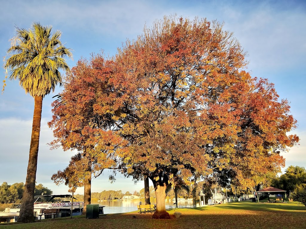 Renmark Rowing Club | Renmark SA 5341, Australia | Phone: 0490 071 626