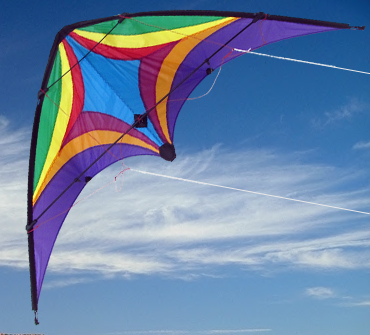 Leading Edge Kites | store | 7/10 Rothcote Ct, Burleigh Heads QLD 4220, Australia | 0417723937 OR +61 417 723 937