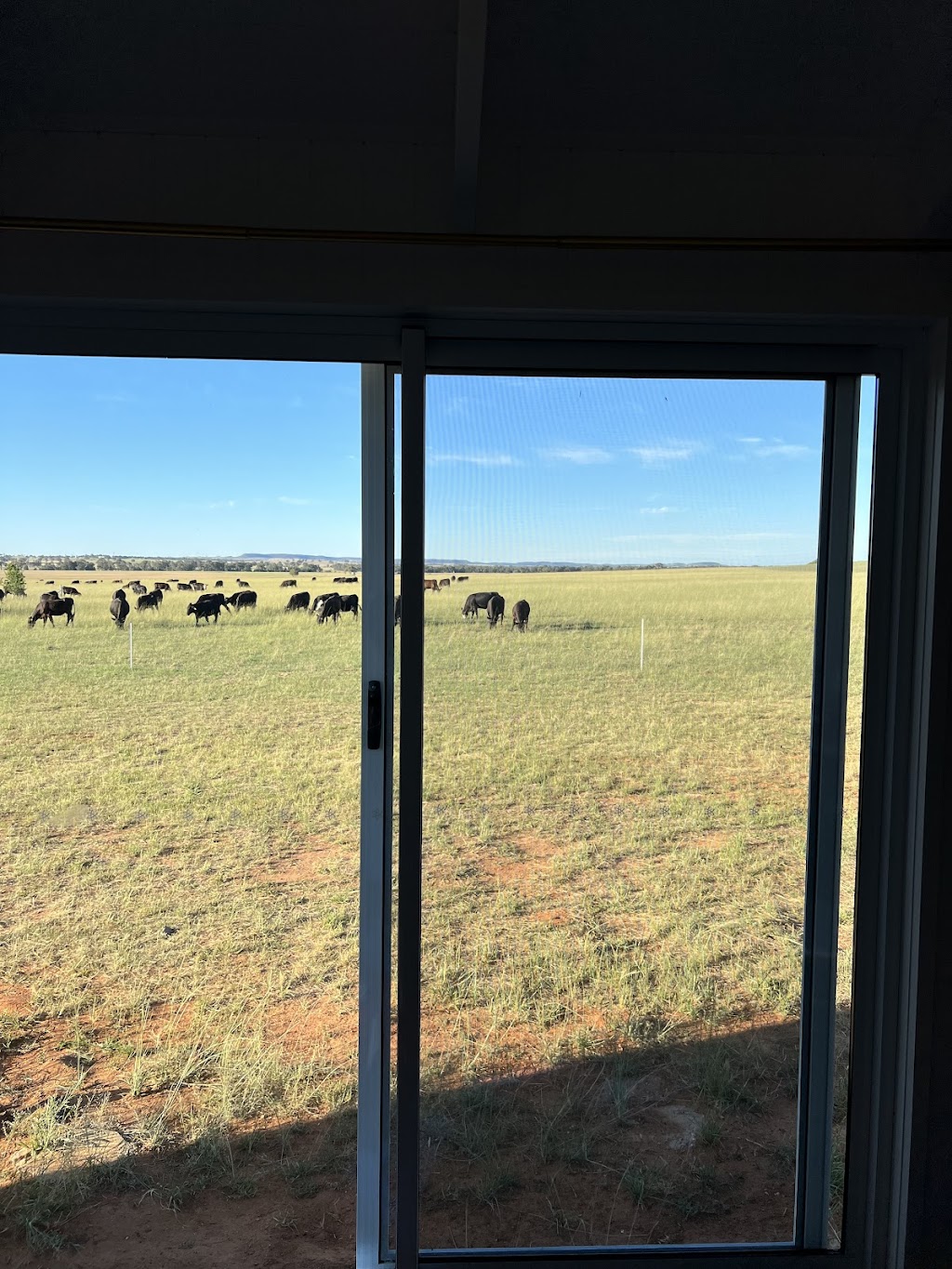 Kingdom Cottages Farm Stay - Gulgong furnished accommodation | 21 Shepherds La (Off, Old Mill Rd, Gulgong NSW 2852, Australia | Phone: 0448 607 680