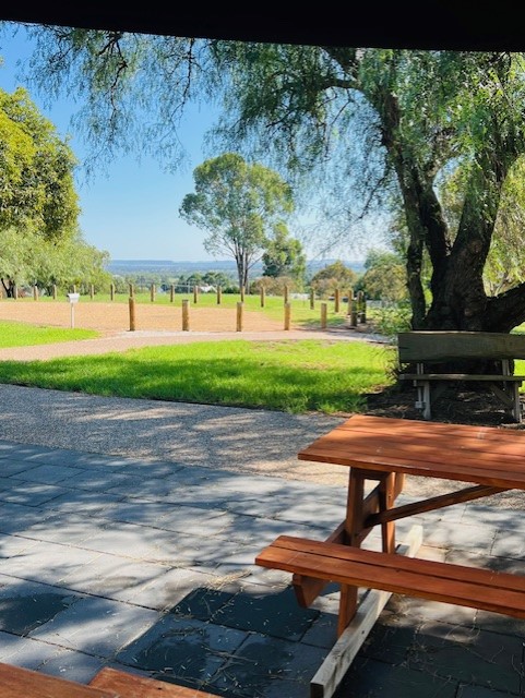 The Miners Cottage Tea Rooms | 49 White St, Gulgong NSW 2852, Australia | Phone: (02) 5313 3033