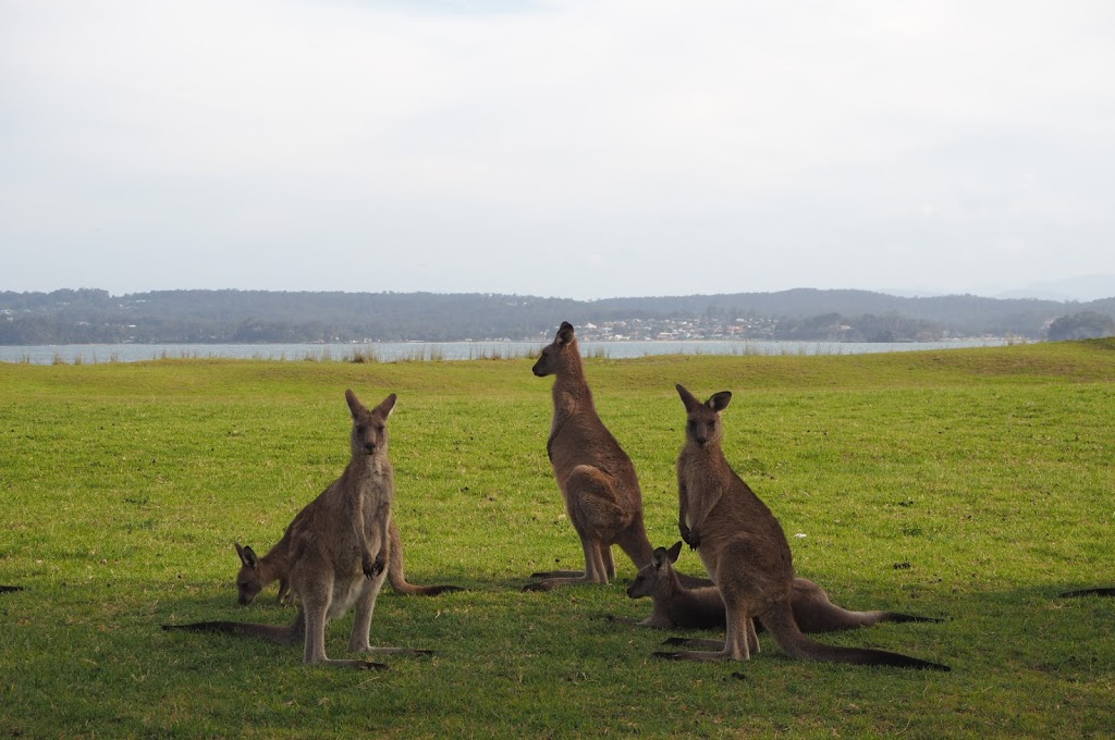 Murramarang National Park | park | East Lynne NSW 2536, Australia