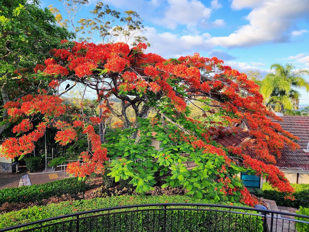 Mt Coot-tha Summit Lookout | 1012 Sir Samuel Griffith Dr, Mount Coot-tha QLD 4066, Australia | Phone: (07) 3403 8888