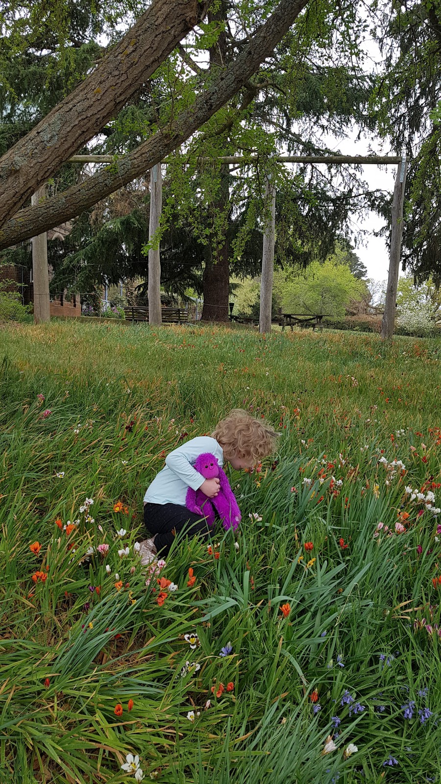 Saumarez Homestead - Armidale | museum | 230 Saumarez Rd, Armidale NSW 2350, Australia | 0267723616 OR +61 2 6772 3616