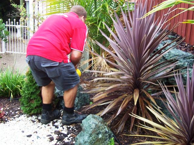 Sherrys Termite & Pest Control | 5/168 Siganto Dr, Helensvale QLD 4210, Australia | Phone: (07) 5512 0710