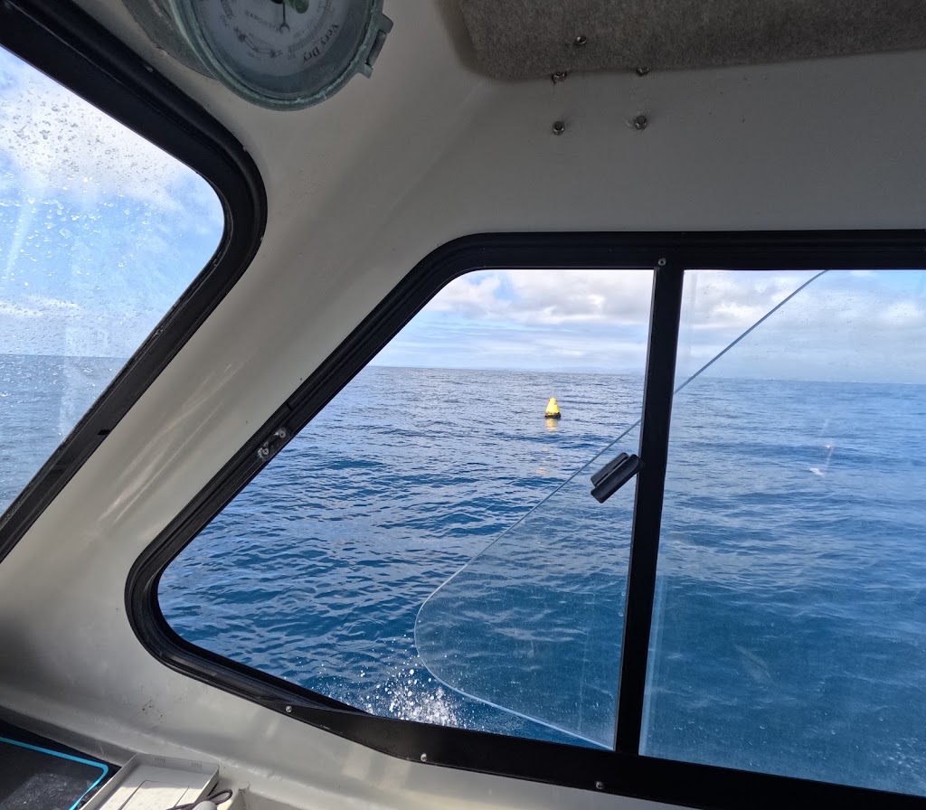 Reef & River Charters | 3 Muriel Henchman Dr, Main Beach QLD 4217, Australia | Phone: 0490 011 736