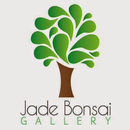 Jade Bonsai Gallery | 10 Pierce Ct, Stretton QLD 4116, Australia | Phone: 0421 376 097