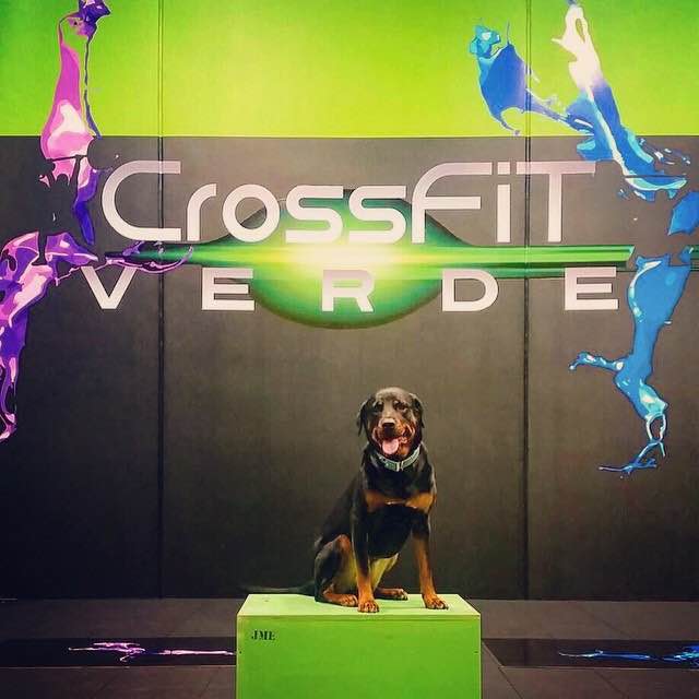 CrossFit Verde | gym | 2/174-186 Atlantic Dr, Keysborough VIC 3173, Australia | 0410329491 OR +61 410 329 491