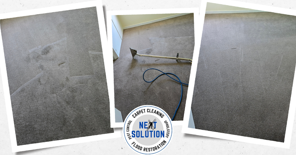Next Solution Carpet Cleaning | 14 Websters Rd, Leslie Vale TAS 7054, Australia | Phone: 0439 533 107