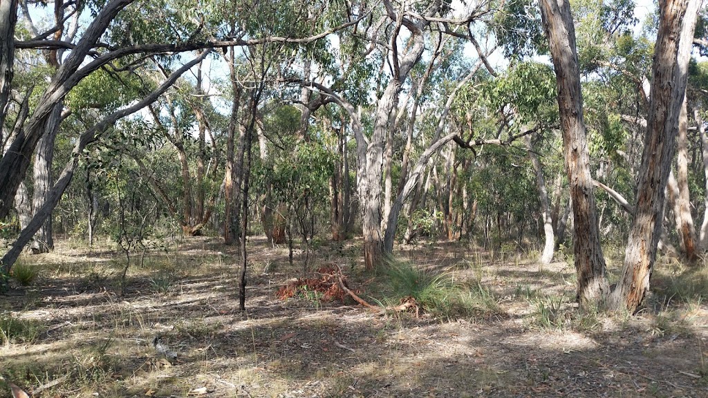 Bert Boardman Recreation Reserve | park | Steiglitz VIC 3331, Australia | 131963 OR +61 131963