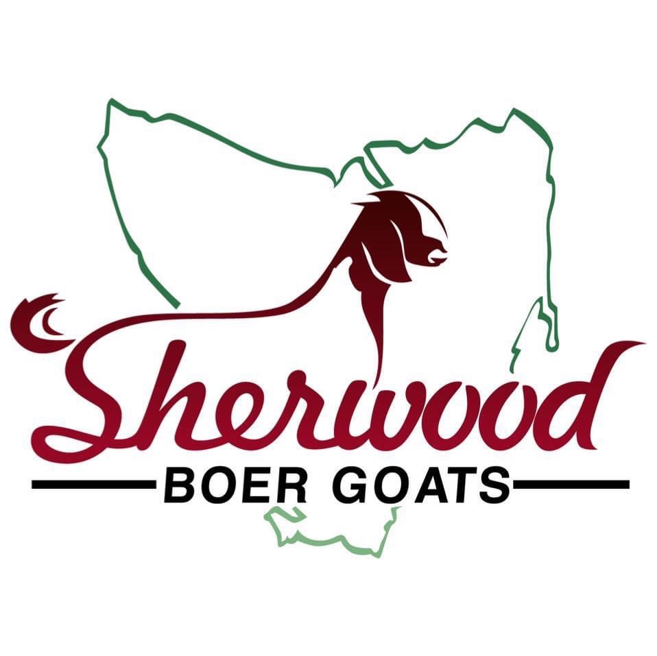 Sherwood Boer Goats | 3109 Railton Rd, Latrobe TAS 7307, Australia | Phone: 0407 910 383