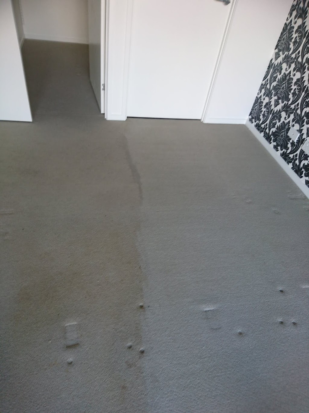 Webbs Pest Management & Carpet Cleaning | 8 Sherbrooke Pl, Sippy Downs QLD 4556, Australia | Phone: 0477 971 066