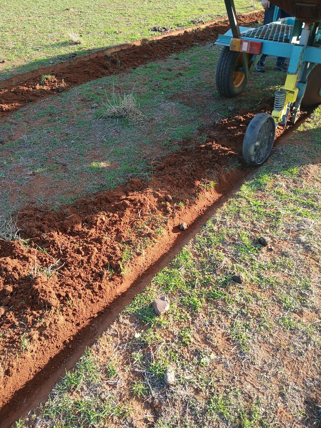 Murraylands Direct Seeding | 1078 Three Chain Rd, Cambrai SA 5353, Australia | Phone: 0427 710 826