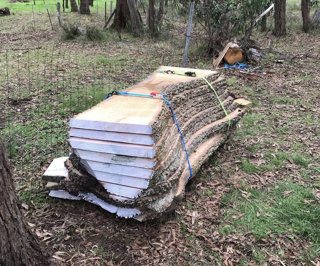 Pat’s Timber and Tree Services | 40 Ridge Bvd, Yinnar VIC 3869, Australia | Phone: 0468 939 833