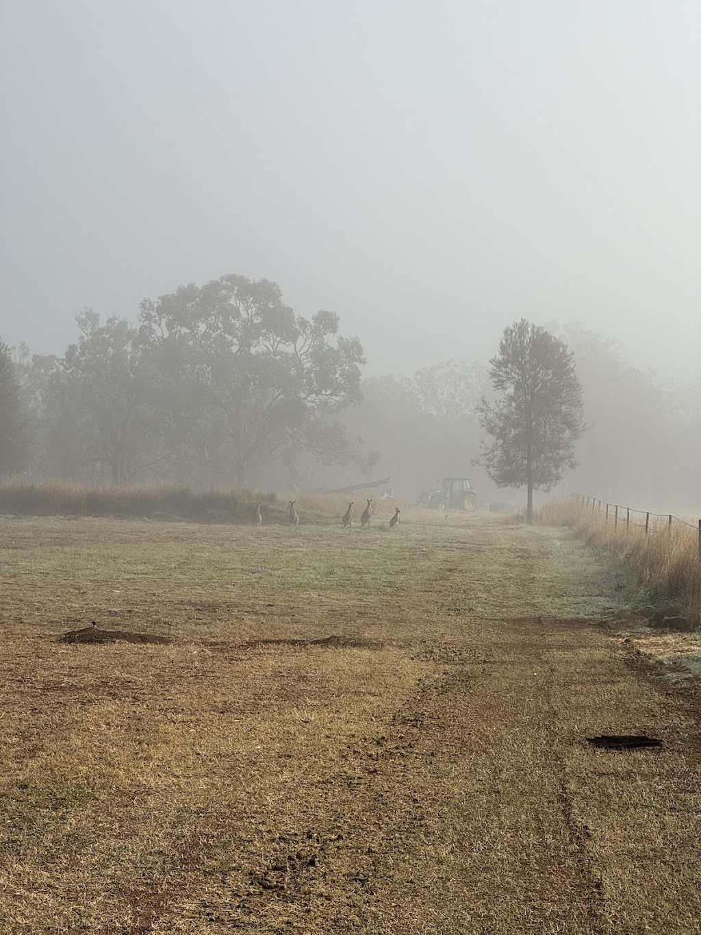 Back Paddock Botanical - Lavender and Herb Farm | 274 Goombungee Meringandan Rd, Goombungee QLD 4354, Australia | Phone: 0400 684 643
