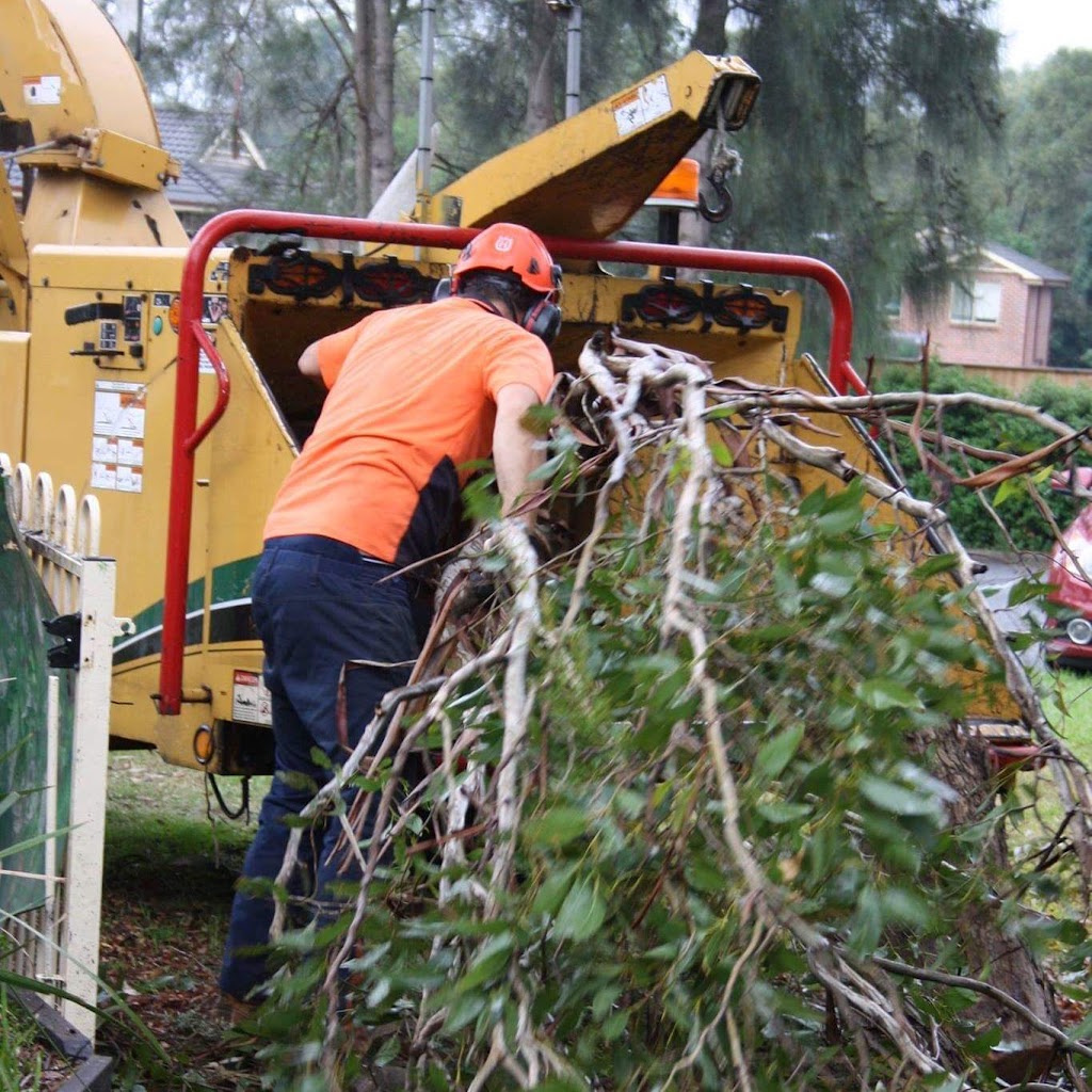 Ironbark Tree Company | Cameron St, Wauchope NSW 2446, Australia | Phone: 0417 249 617