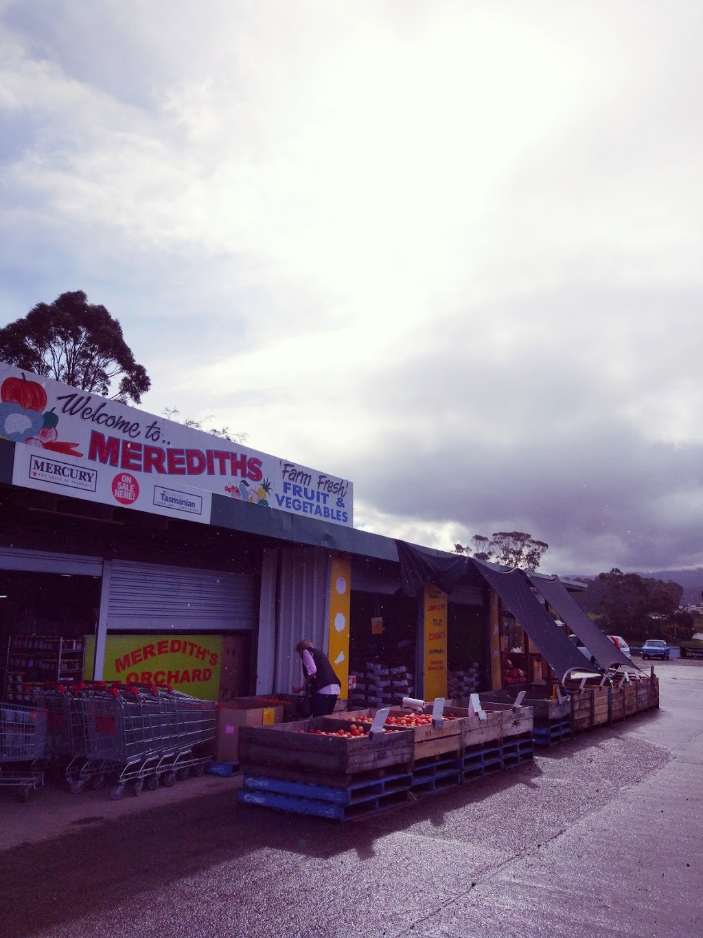 Merediths Orchard | store | 1830 Channel Hwy, Margate TAS 7054, Australia | 0362672395 OR +61 3 6267 2395