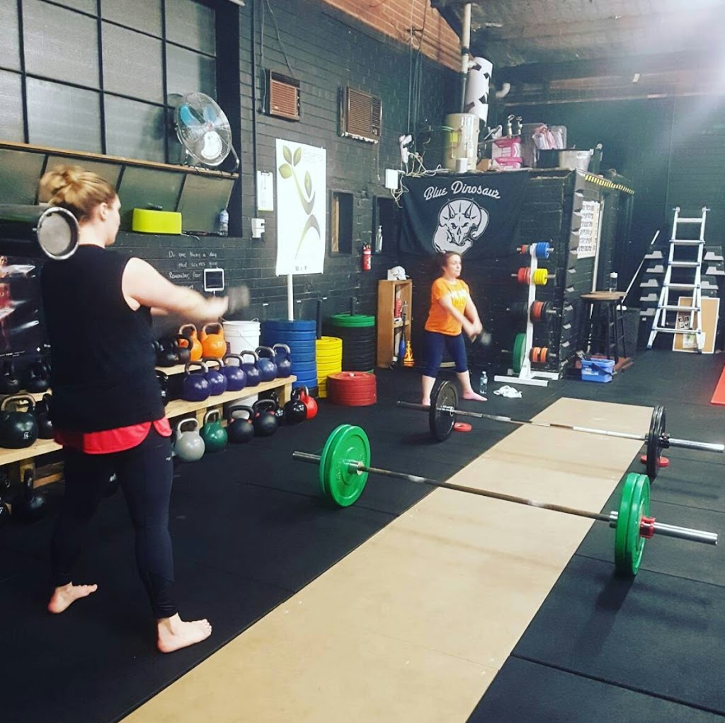 Rogue Strength and Conditioning | health | Heliopolis St, Pascoe Vale South VIC 3044, Australia | 0450796160 OR +61 450 796 160