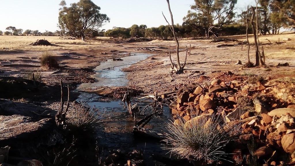 Quellington School House Farmstay |  | 835 Sees Rd, Quellington WA 6302, Australia | 0428149909 OR +61 428 149 909