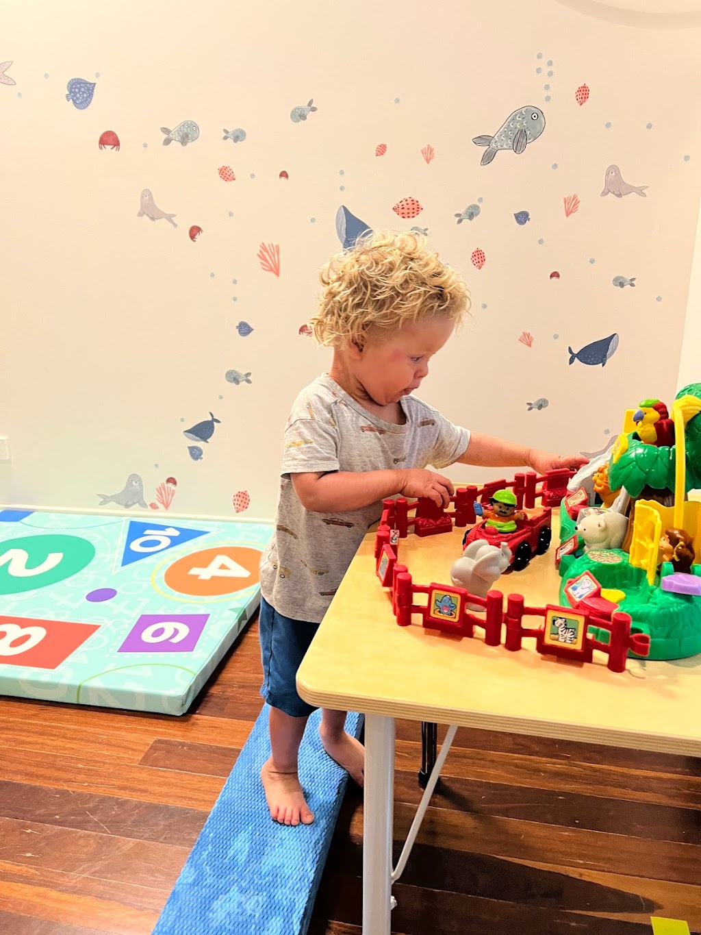 Balanced Paediatric Therapy | 72a Byron St, Bangalow NSW 2479, Australia | Phone: 0493 869 022