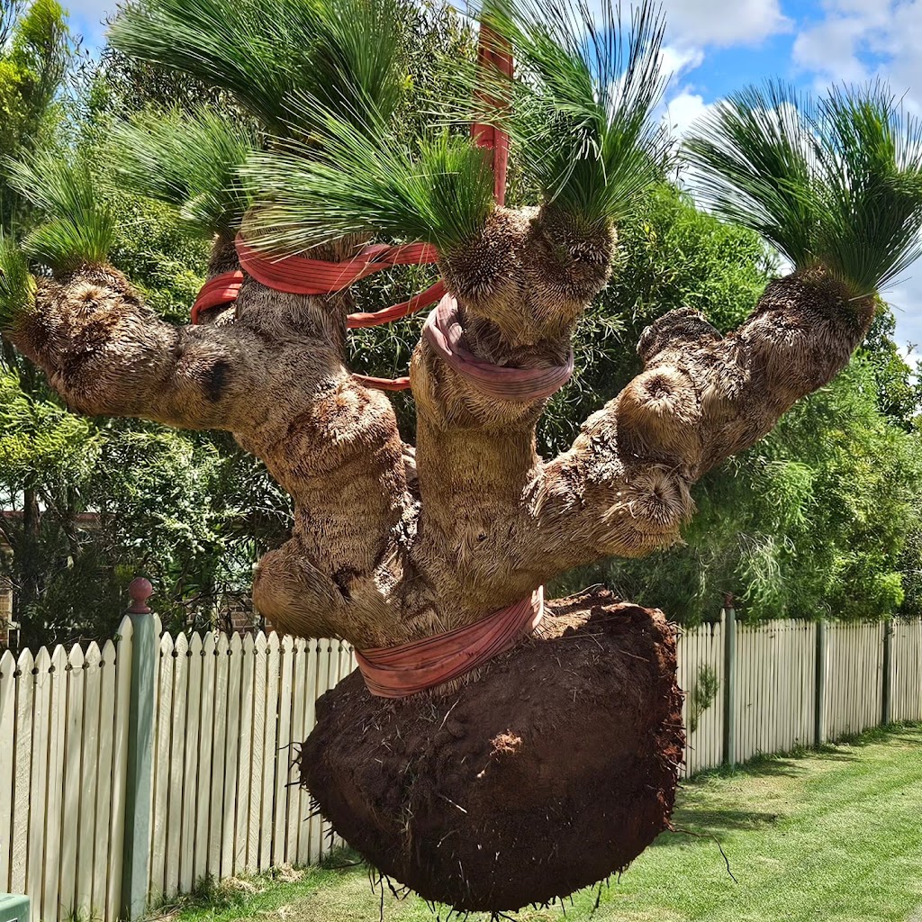 Ace of Spades Tree Relocators | 811 Toowoomba Connection Rd, Withcott QLD 4350, Australia | Phone: 0438 383 213