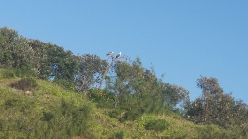 Ninjas beach | park | Queensland, Australia