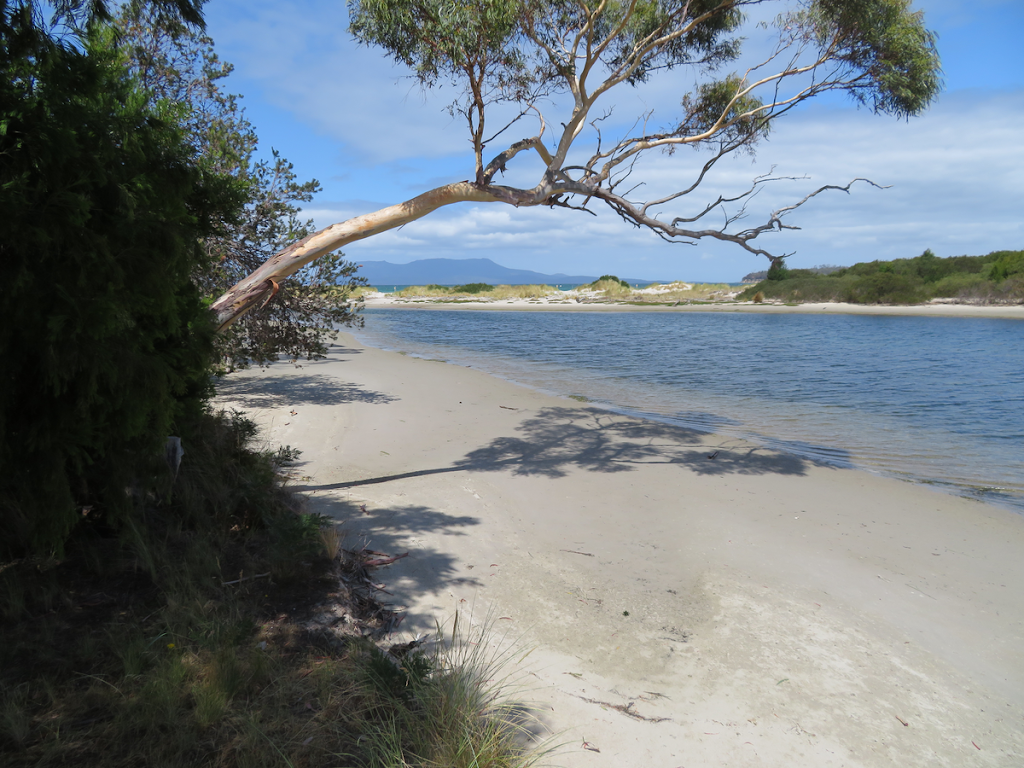 Orford Bird Sanctuary | 58 Tasman Hwy, Orford TAS 7190, Australia