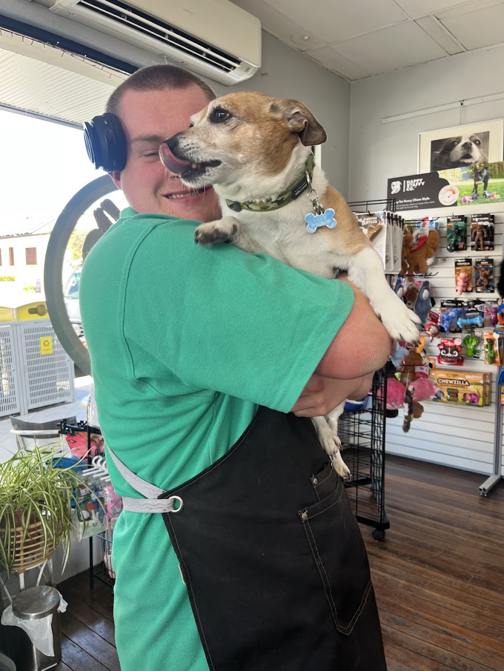 Lisa’s Pet Sitting Services | Towrang Vale Rd, Dairymans Plains NSW 2630, Australia | Phone: 0452 420 178