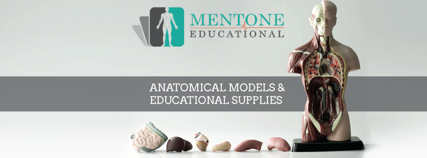 Mentone Educational | store | 10-12 McWilliam St, Springvale VIC 3171, Australia | 0395476638 OR +61 3 9547 6638