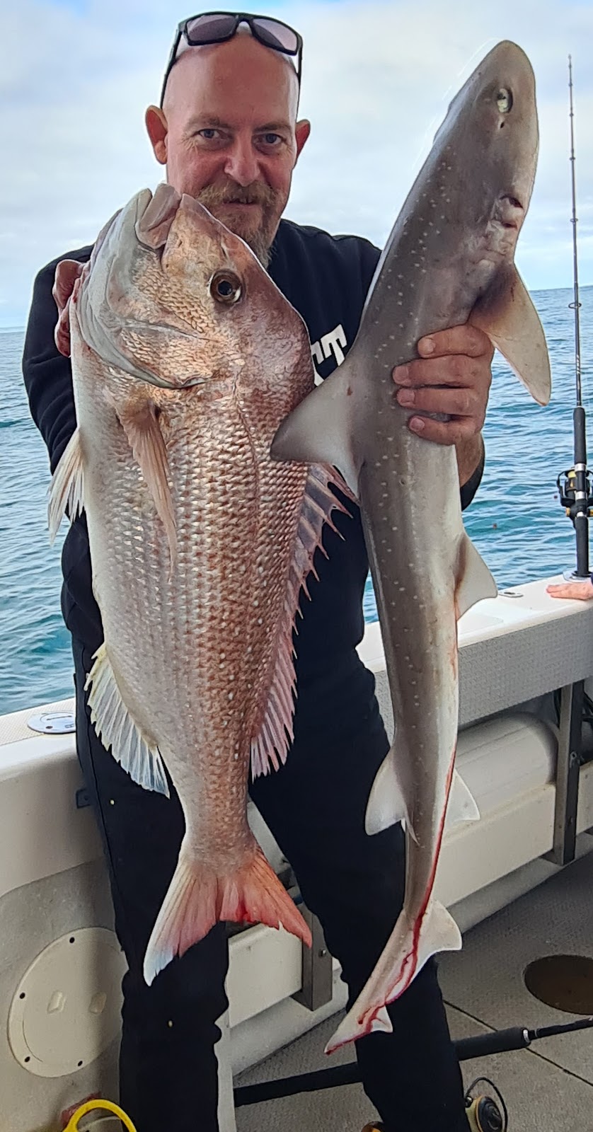 Apollo Bay Fishing Charters |  | 1 Trafalgar St, Apollo Bay VIC 3233, Australia | 0428376426 OR +61 428 376 426