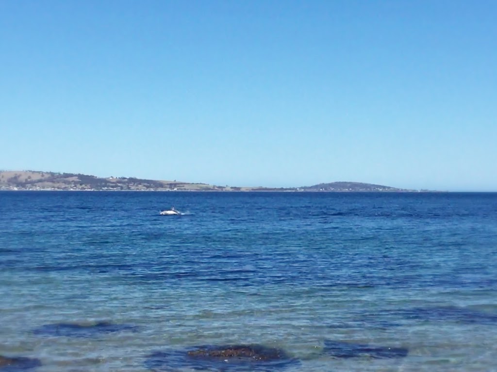 Hobart Beachfront Cottage | lodging | Taroona TAS 7053, Australia
