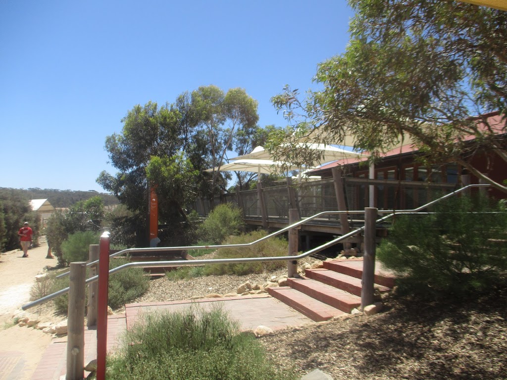 Giraffe lookout | zoo | Unnamed Road, Monarto SA 5254, Australia