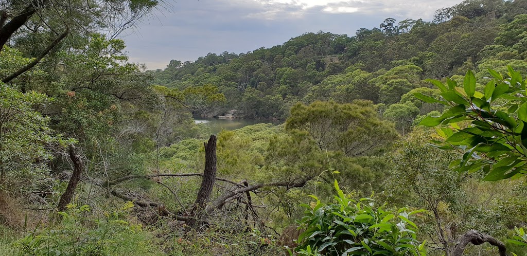 Harold Reid Foreshore Track | park | Sugarloaf Cres, Castlecrag NSW 2068, Australia | 0297771000 OR +61 2 9777 1000
