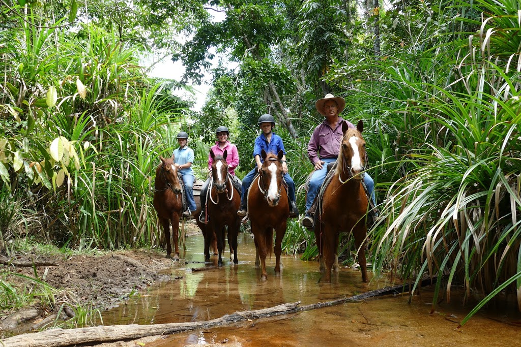 Reinsdown Horse Riding | 75 Aerodrome Rd, Tully QLD 4854, Australia | Phone: 0436 375 989