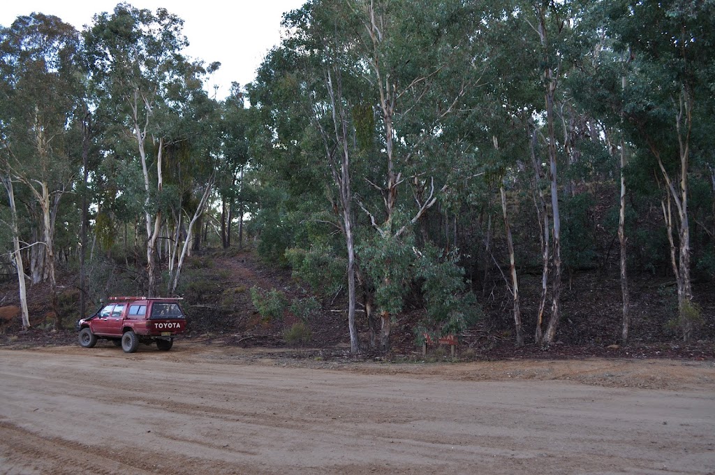 Mount Gray Walking Track | park | Bald Ridge Rd, Abercrombie River NSW 2795, Australia | 1300072757 OR +61 1300 072 757