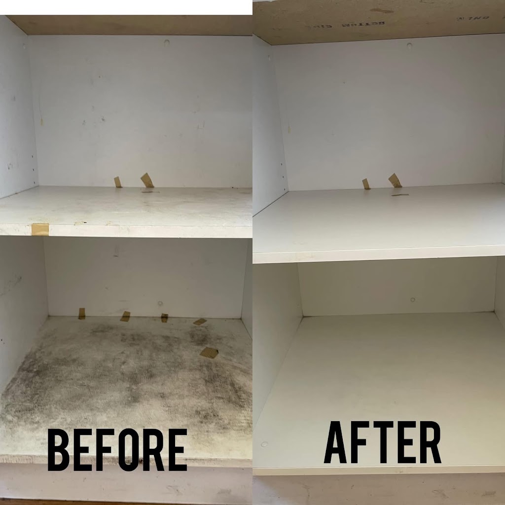 Tasman Cleaning Services, Hobart | Unit 1/1 Moore Park Dr, Glenorchy TAS 7010, Australia | Phone: 0470 640 852