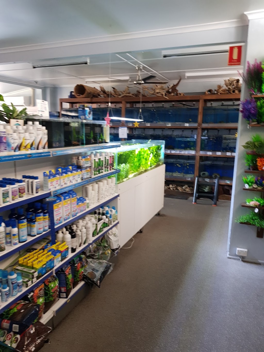 Atlas Aquarium | pet store | 270 Rode Rd, Wavell Heights QLD 4012, Australia | 0732563774 OR +61 7 3256 3774