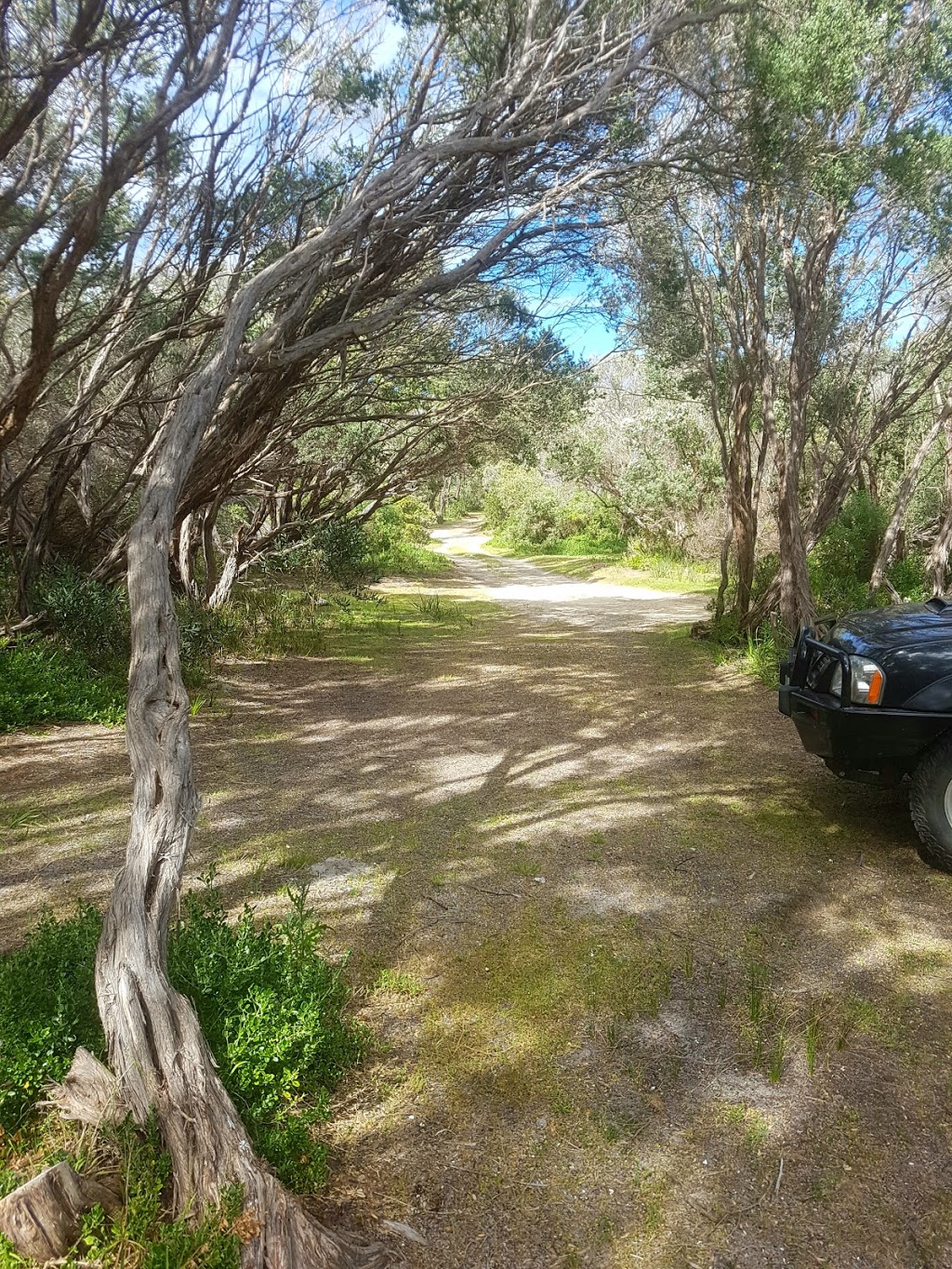 Campground 17 | campground | 1998 Shoreline Dr, The Honeysuckles VIC 3851, Australia