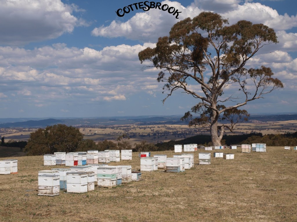 Cottesbrook Honey | 4 Kellys Rd, Fitzgeralds mt NSW 2799, Australia | Phone: (02) 6368 5889