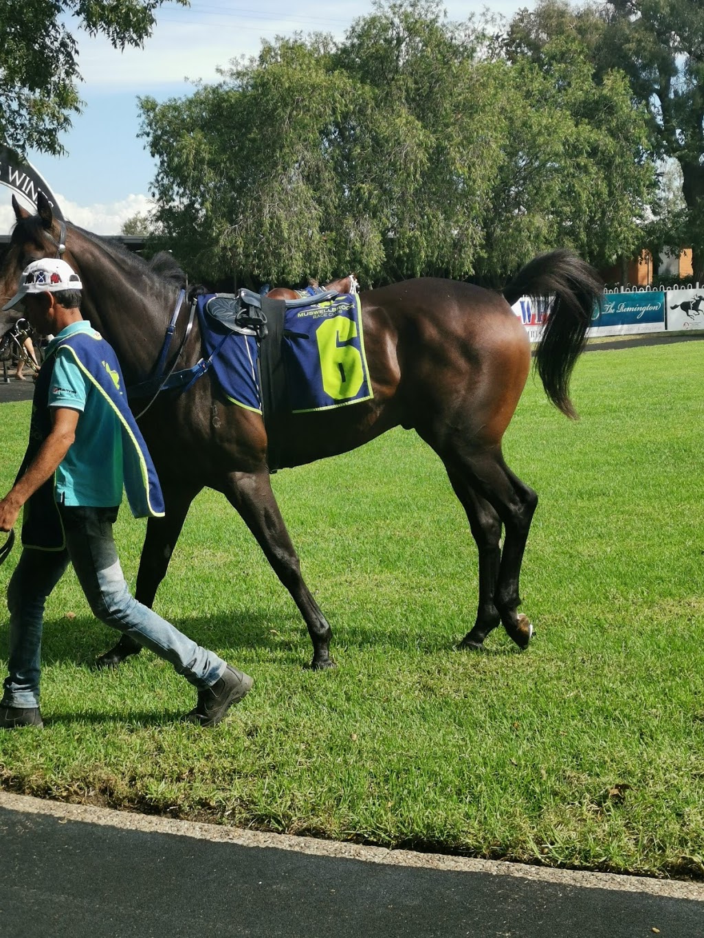 Muswellbrook Race Club Ltd. | Skellatar Park, 15 Racecourse Rd, Muswellbrook NSW 2333, Australia | Phone: (02) 6541 1699