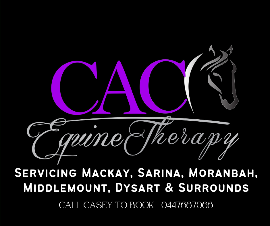 CAC Equine Therapy | 154 Walshs Rd, Nebo QLD 4742, Australia | Phone: 0447 667 066