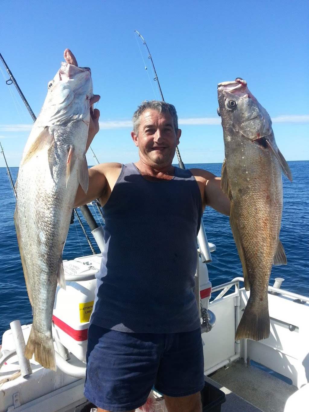 Fishing Offshore Noosa | Jetty, 256 Gympie Terrace, Noosaville QLD 4566, Australia | Phone: (07) 5449 9355