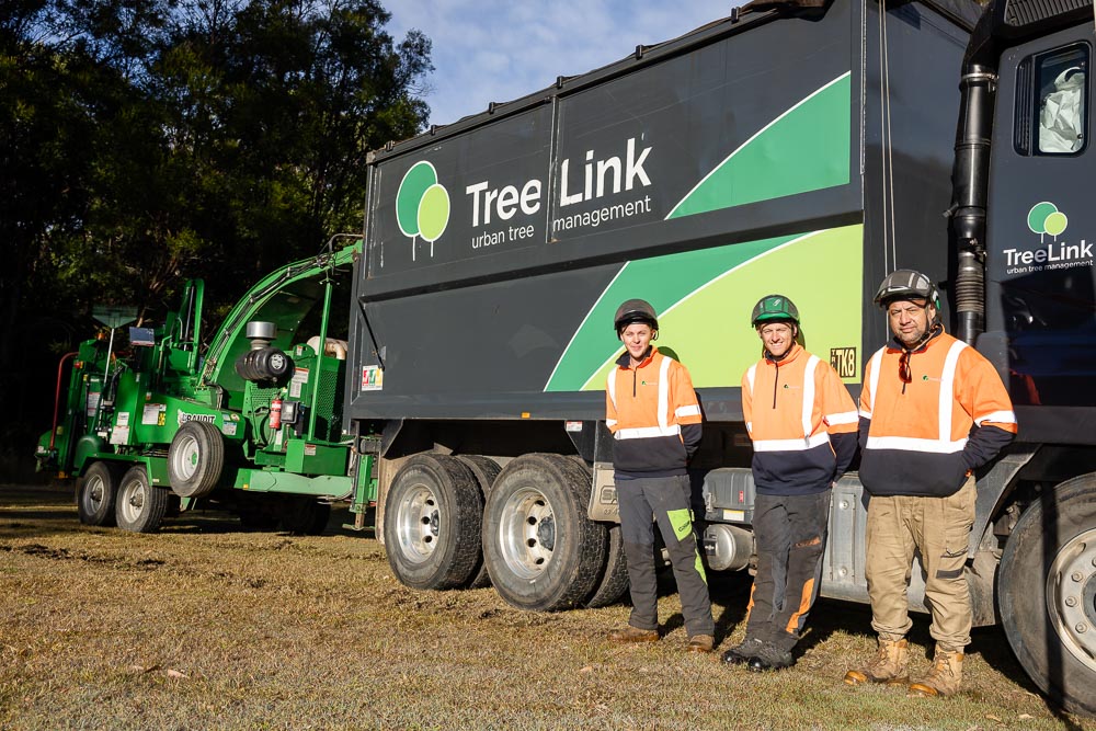 TreeLink Southern Highlands | 5 Railway Parade, Bowral NSW 2576, Australia | Phone: 0425 064 502