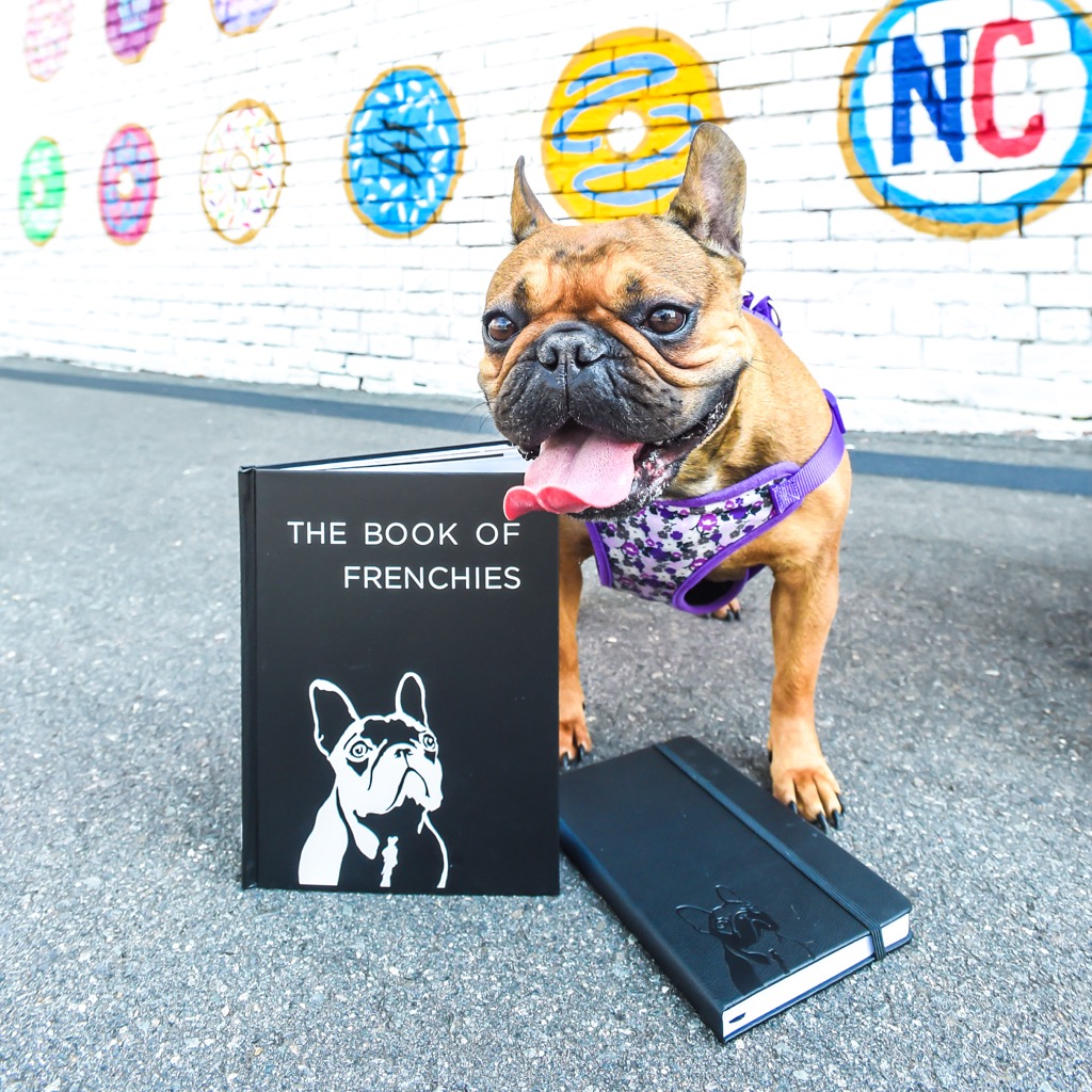 The Dog Book Company | book store | 1101/280-288 Burns Bay Rd, Lane Cove NSW 2066, Australia | 0261112090 OR +61 2 6111 2090
