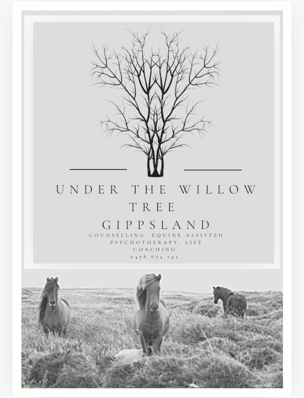 Under The Willow Tree Gippsland | 65 Thompson Dr, Cowwarr VIC 3857, Australia | Phone: 0478 674 143