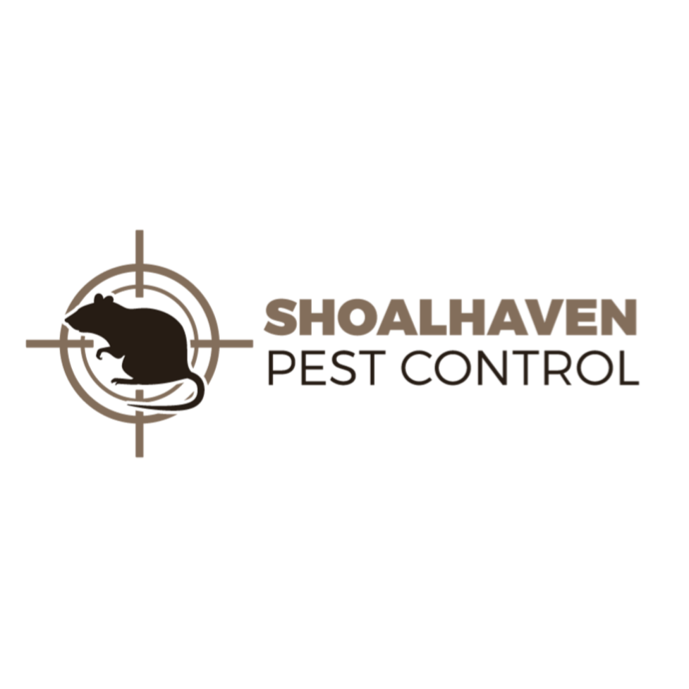 Shoalhaven Pest Control | home goods store | 119 Osborne St, Nowra NSW 2541, Australia | 0422153421 OR +61 422 153 421