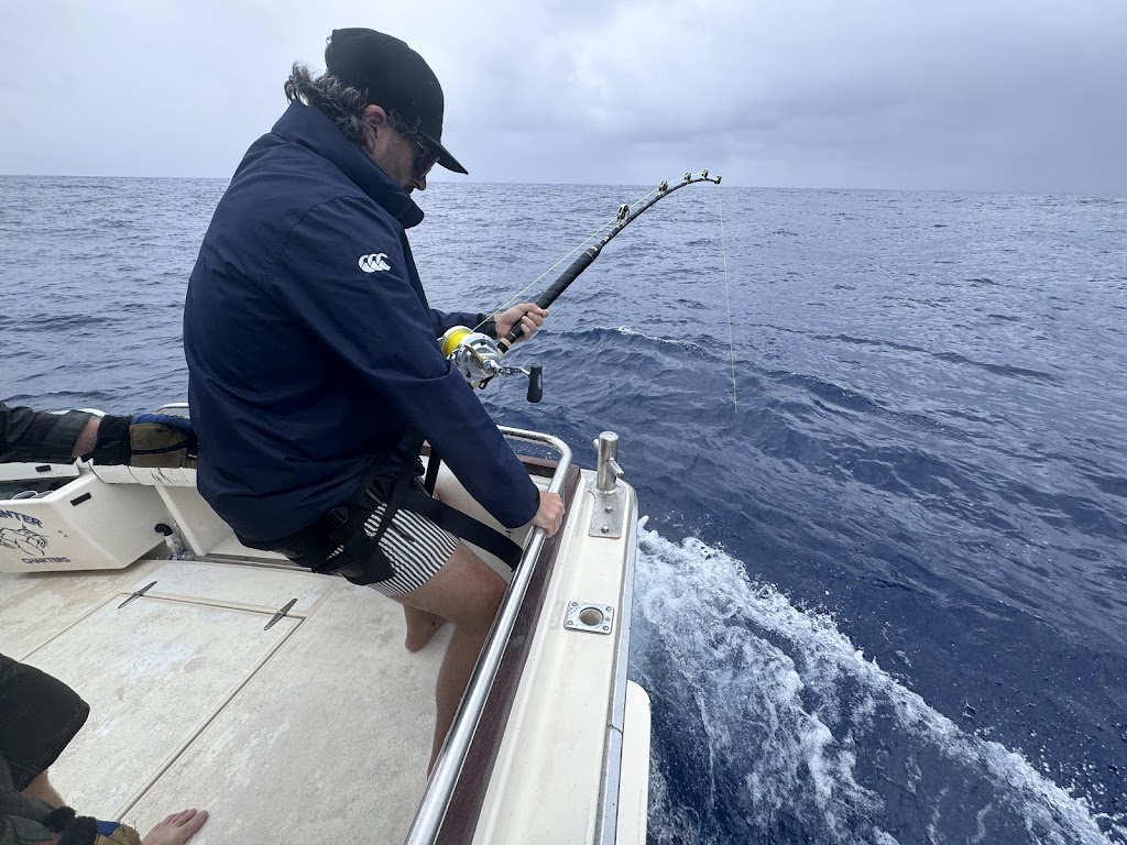 Head Hunter Charters | Bermagui Fishermans Wharf, Lamont St, Bermagui NSW 2546, Australia | Phone: 0428 995 400